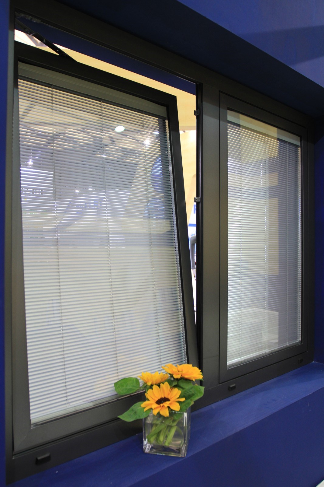 hahabet星辰大海官方网站-妄想从这里起头