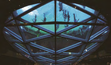 hahabet星辰大海官方网站-妄想从这里起头