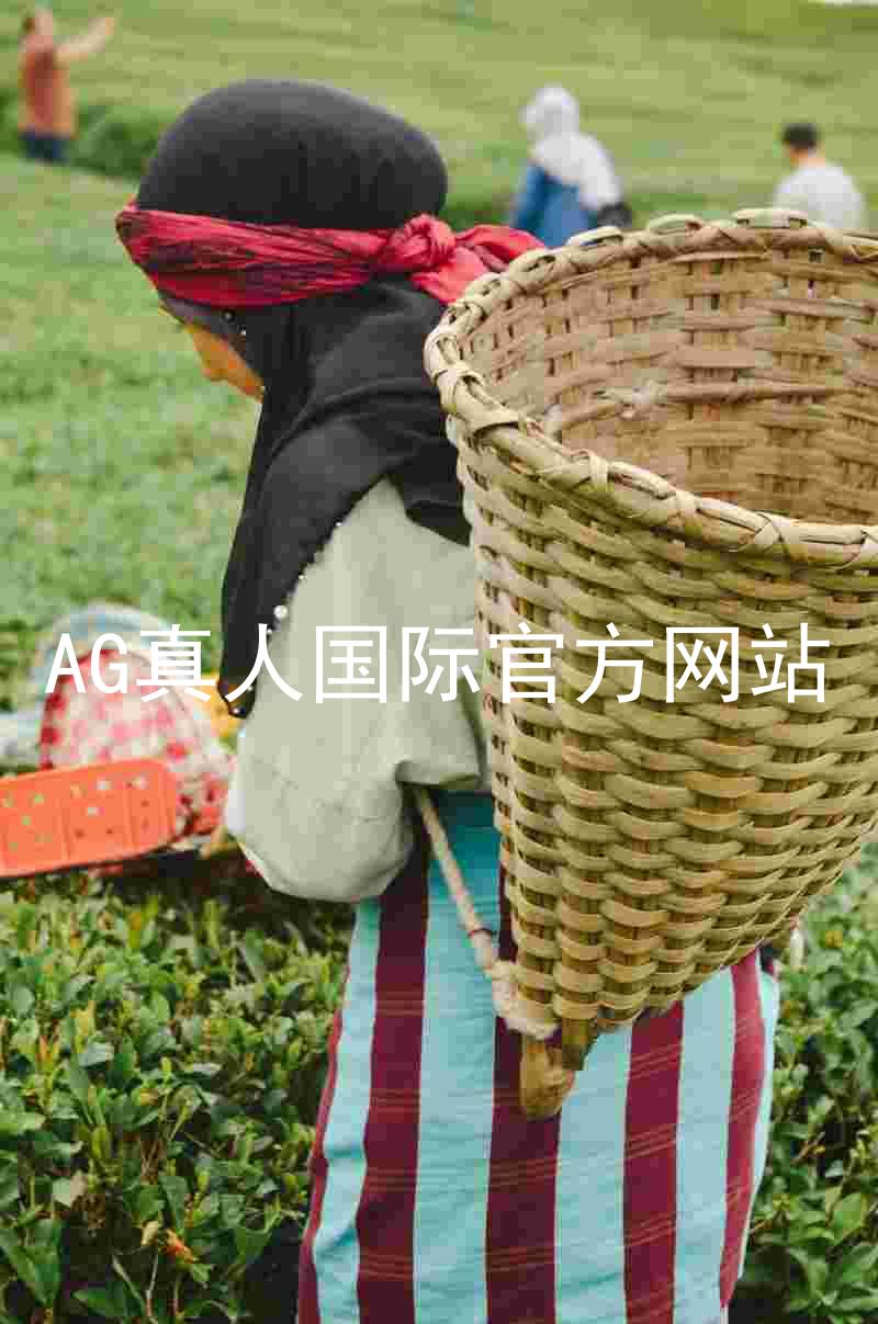 AG真人国际官方网站